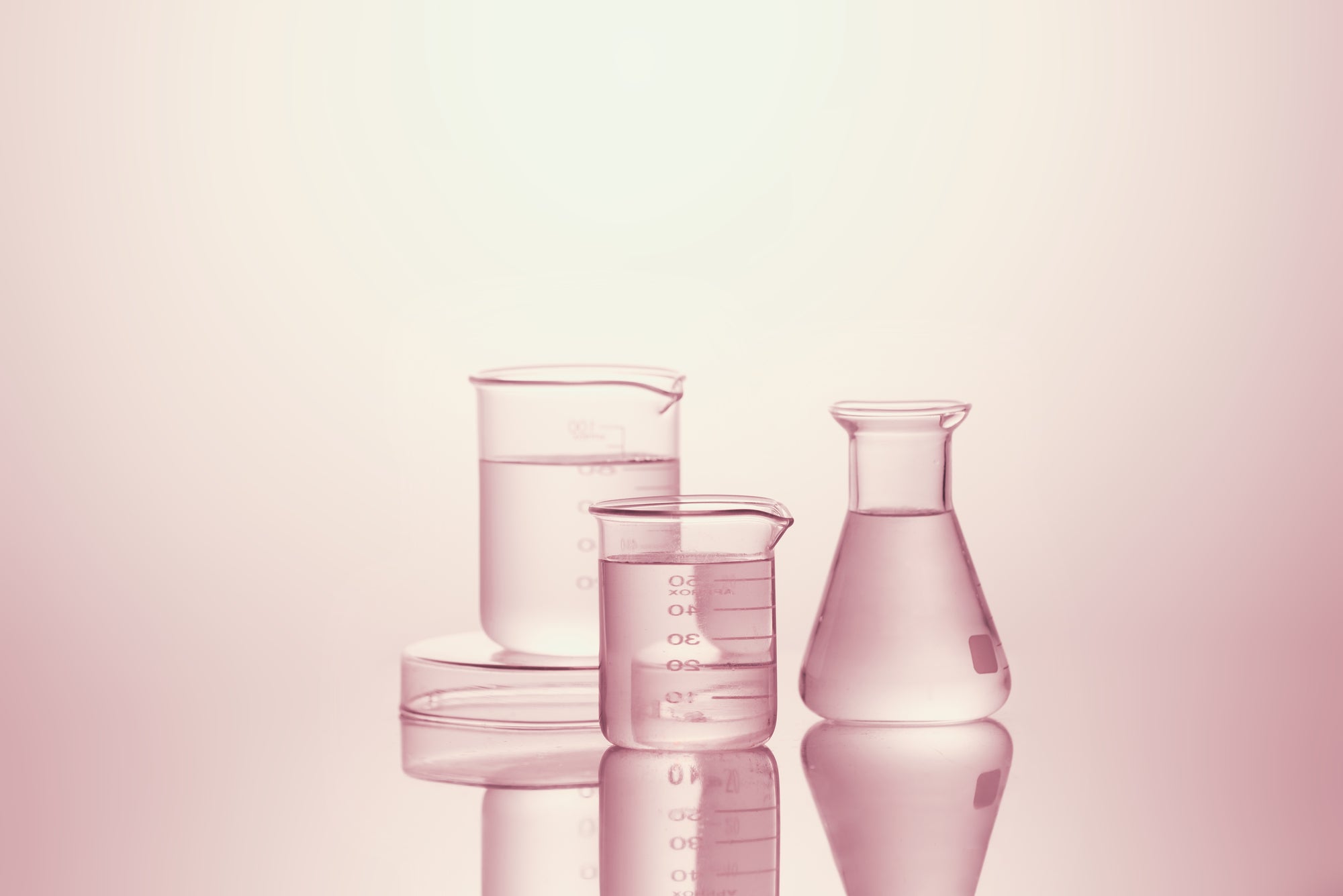 Terrific or Toxic? Chemical Ingredients to Embrace and Avoid in Your Cosmetics Collection