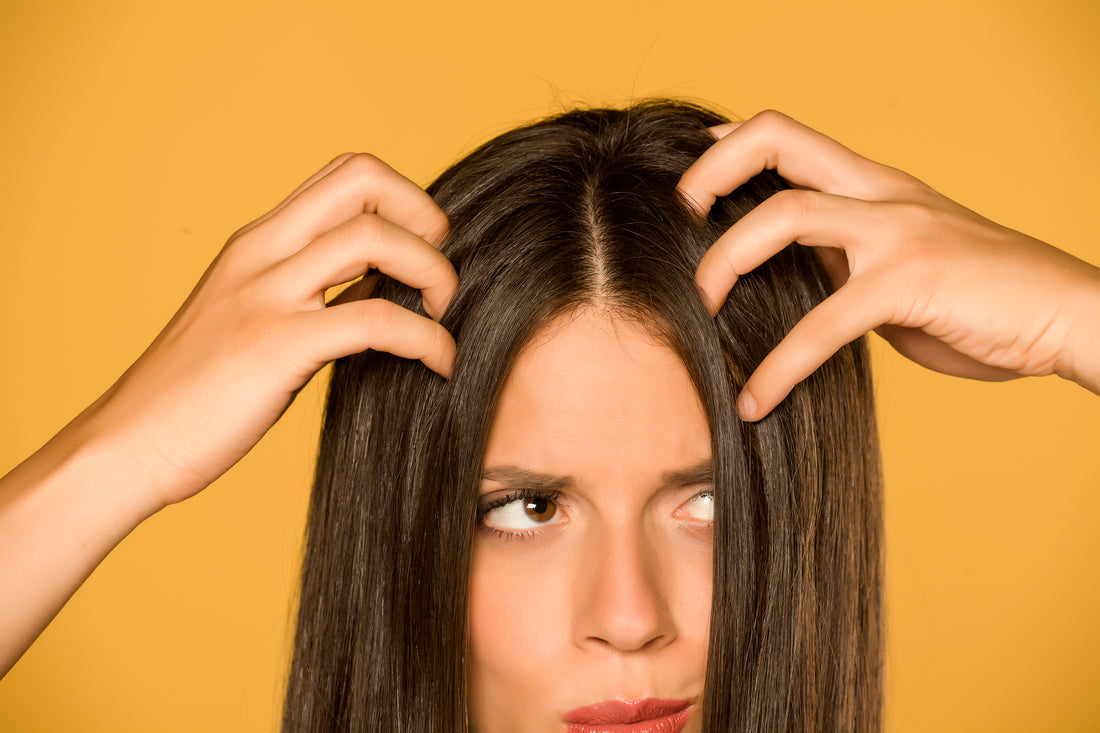 Dandruff v. Dry Scalp: Signs to Look Out for and How to Help